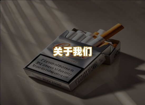 关于我们
